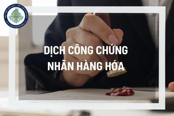 thuviennhadat.vn