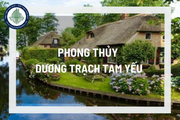 thuviennhadat.vn