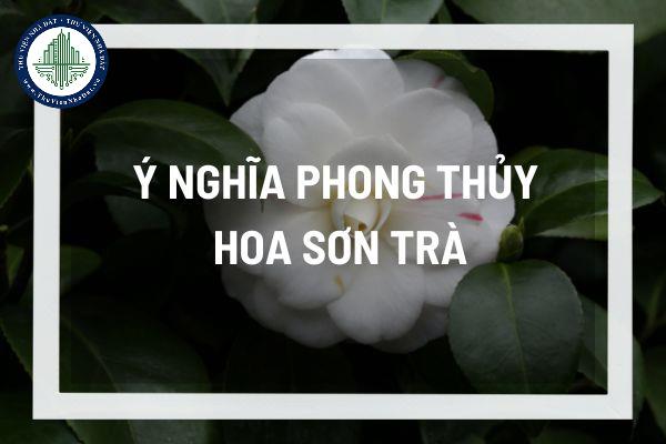 thuviennhadat.vn