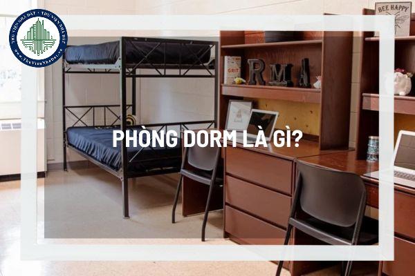 Phòng Dorm là gì? Có nên thuê phòng Dorm để làm không gian sống