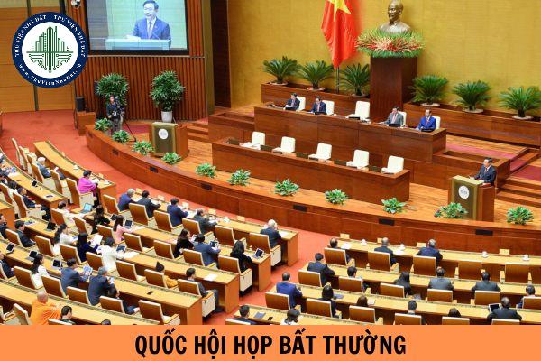 thuviennhadat.vn
