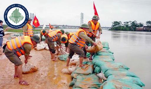 thuviennhadat.vn