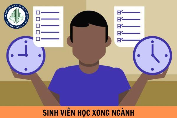 thuviennhadat.vn