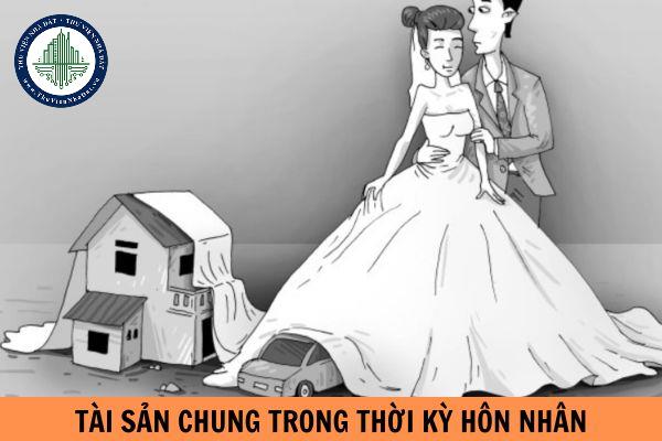 thuviennhadat.vn