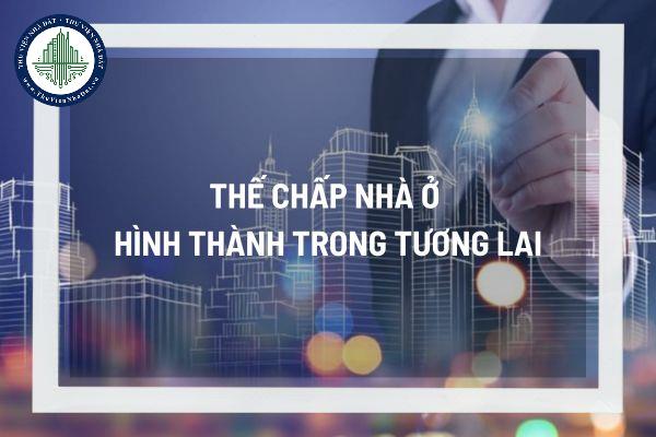 thuviennhadat.vn