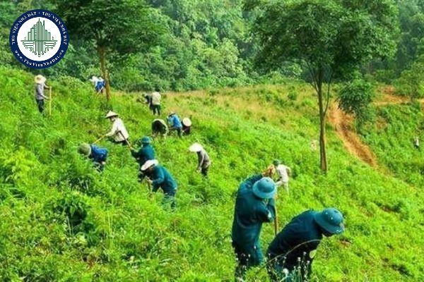 thuviennhadat.vn