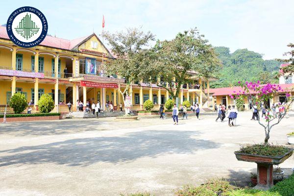 thuviennhadat.vn