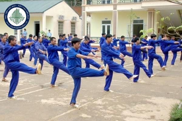 thuviennhadat.vn