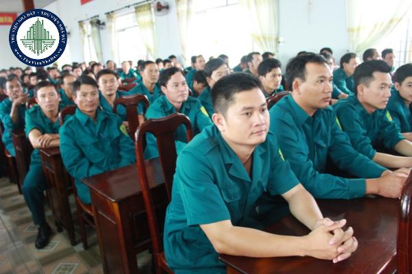 thuviennhadat.vn