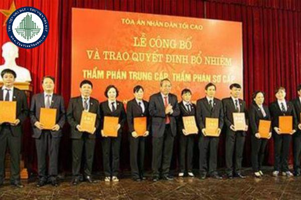 thuviennhadat.vn