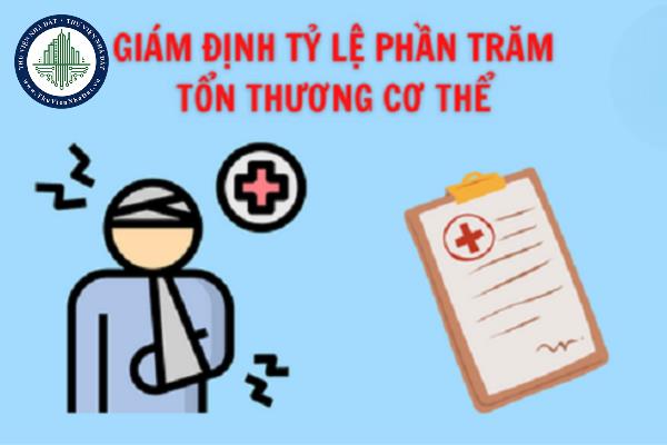 thuviennhadat.vn