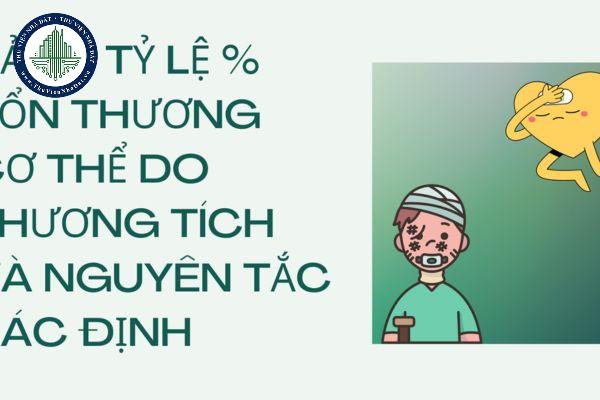 thuviennhadat.vn