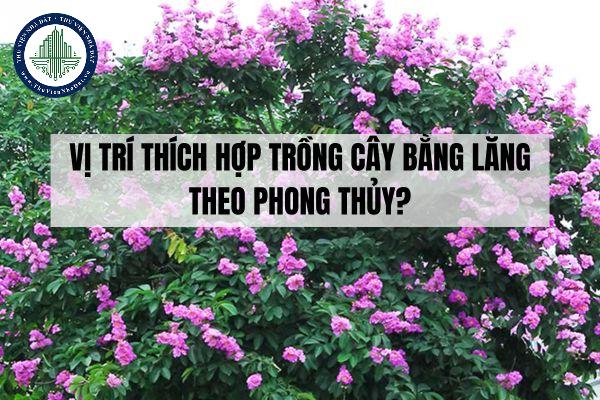 thuviennhadat.vn