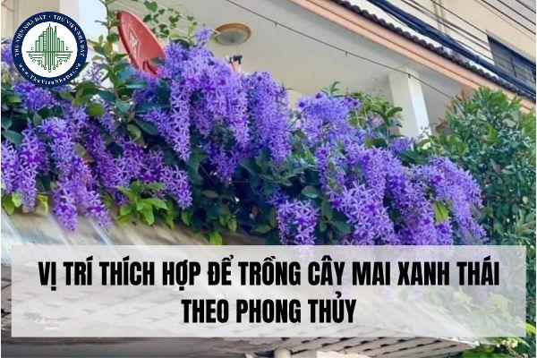 thuviennhadat.vn