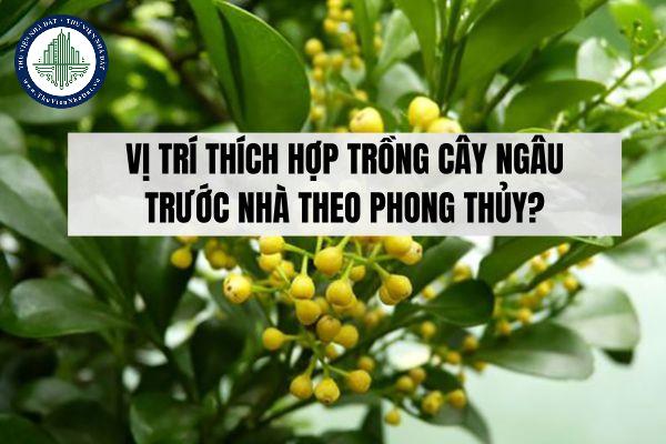 thuviennhadat.vn