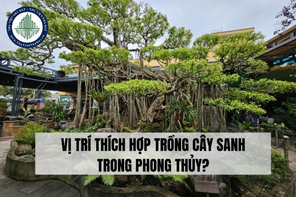 thuviennhadat.vn