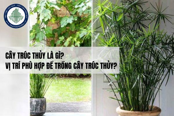 thuviennhadat.vn