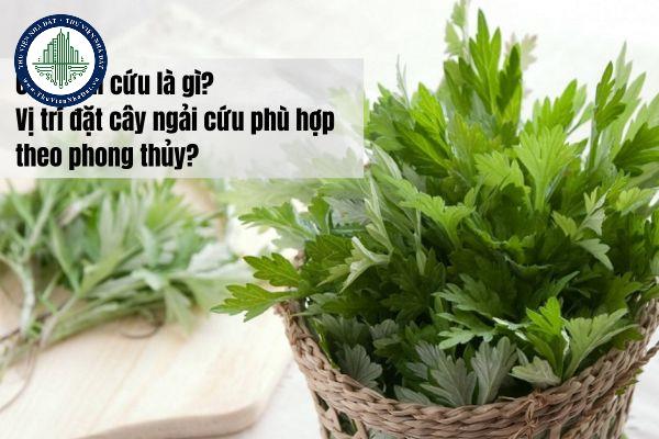 thuviennhadat.vn