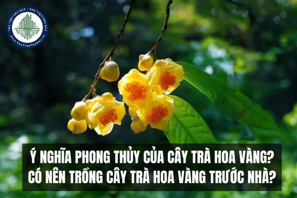 thuviennhadat.vn