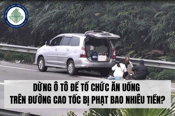 thuviennhadat.vn