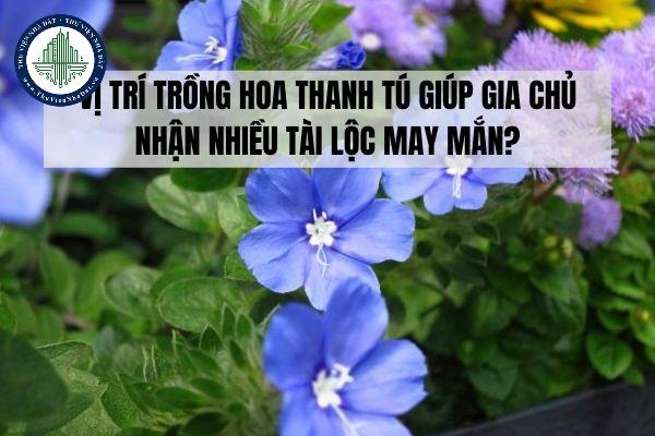 thuviennhadat.vn