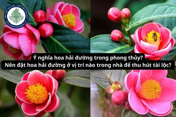 thuviennhadat.vn