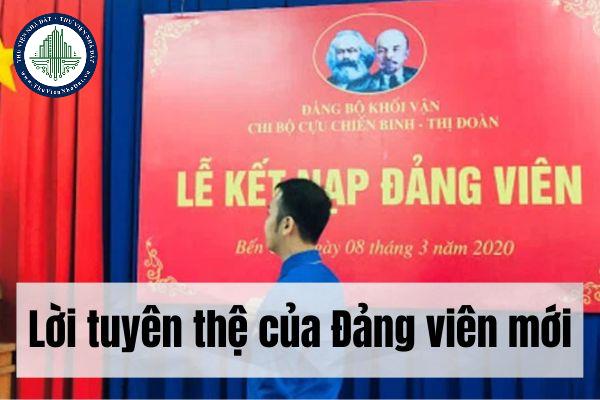 thuviennhadat.vn