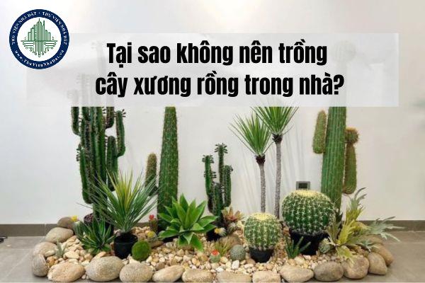 thuviennhadat.vn