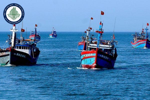 thuviennhadat.vn
