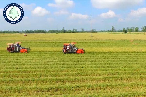 Việc chuyển từ đất trồng lúa sang trồng cà phê mà không thực hiện thủ tục chuyển đổi mục đích sử dụng đất có bị xử phạt không?