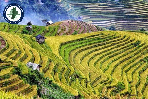 thuviennhadat.vn