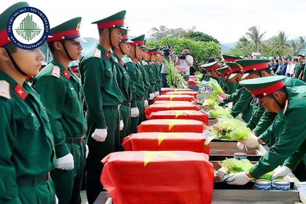 thuviennhadat.vn