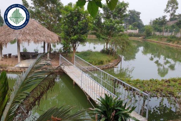 Có được phép chuyển đổi mục đích sử dụng đất từ đất ao sang đất ở không? (Hình từ Internet)