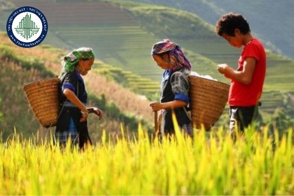 thuviennhadat.vn