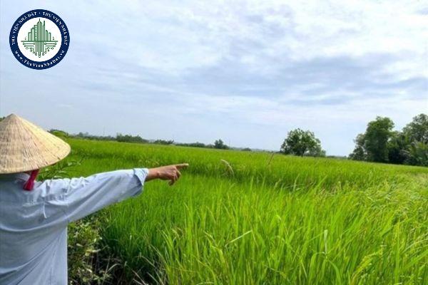Lấn chiếm đất trồng lúa 0,3 héc ta thì bị phạt bao nhiêu tiền? 