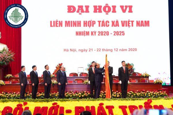 thuviennhadat.vn
