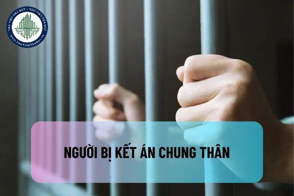 thuviennhadat.vn