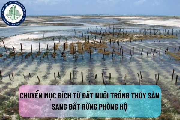 Chuyển mục đích sử dụng đất từ đất nuôi trồng thủy sản sang đất rừng phòng hộ thì thời hạn sử dụng đất kéo dài bao lâu?