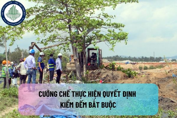 Việc cưỡng chế thực hiện quyết định kiểm đếm bắt buộc được thực hiện khi đáp ứng các điều kiện gì?