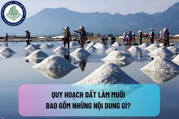 Quy hoạch đất làm muối bao gồm những nội dung gì? Trình tự xây dựng quy hoạch đất làm muối được pháp luật quy định như thế nào?