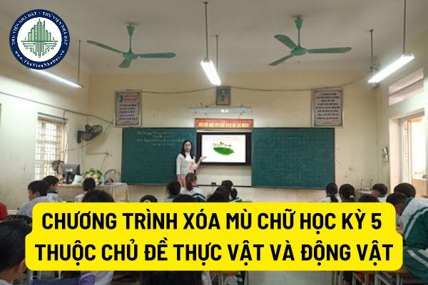 thuviennhadat.vn