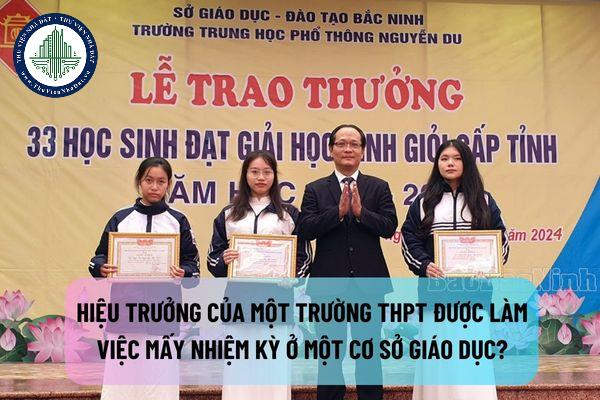 thuviennhadat.vn