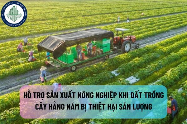 Có được hỗ trợ sản xuất nông nghiệp khi đất trồng cây hằng năm bị thiệt hại sản lượng do thiên tai, hỏa hoạn không?