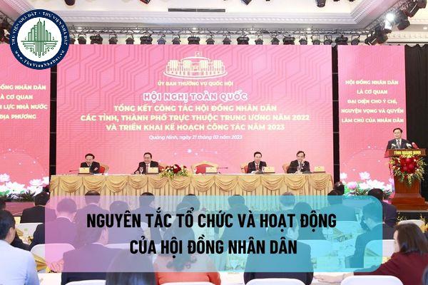 thuviennhadat.vn