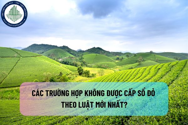 Các trường hợp không được cấp sổ đỏ theo Luật mới nhất?