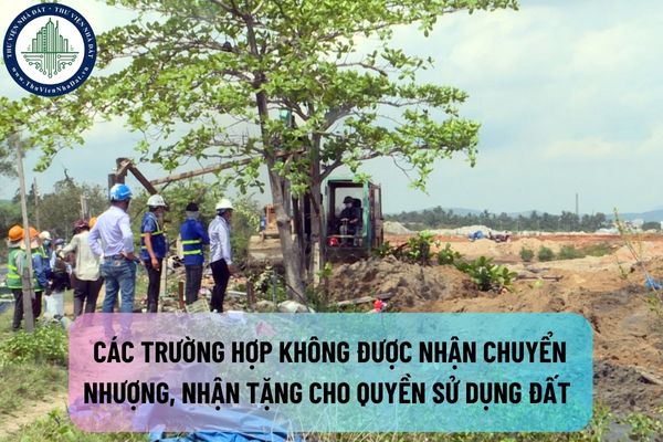 Các trường hợp không được nhận chuyển nhượng, nhận tặng cho quyền sử dụng đất theo quy định của Luật Đất đai 2024 là gì?