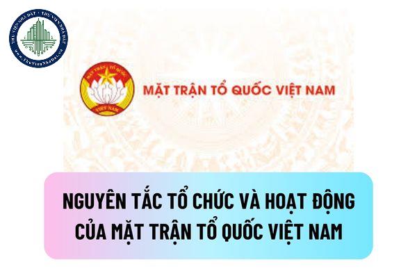 thuviennhadat.vn