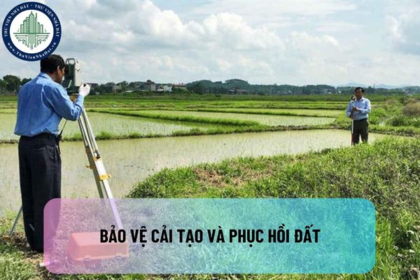 Bảo vệ cải tạo và phục hồi đất là những khái niệm gì? Các bước cụ thể để thực hiện bảo vệ, cải tạo và phục hồi đất là gì?