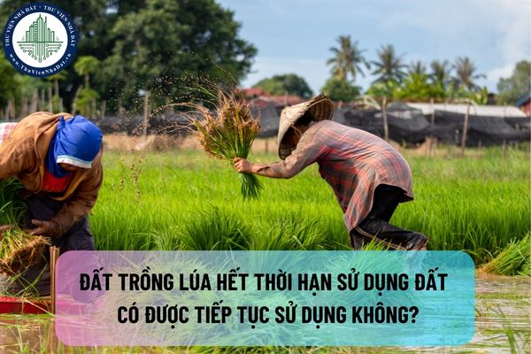 Đất trồng lúa hết thời hạn sử dụng đất đang được trực tiếp sản xuất thì có được tiếp tục sử dụng không?