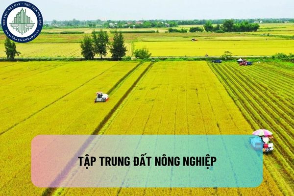 Tập trung đất nông nghiệp là gì? Thực hiện tập trung đất nông nghiệp có phải lập phương án sử dụng đất không?